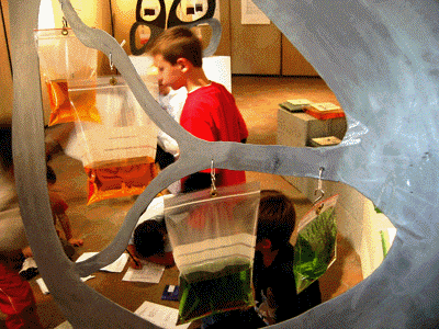 pupils at the exhibition